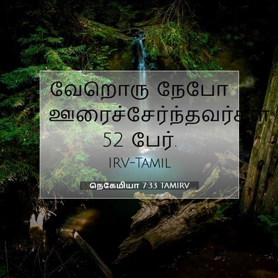 Picture 07 - நெகேமியா 7:33 TAMIRV - வேறொரு நேபோ - Bible Verse Picture