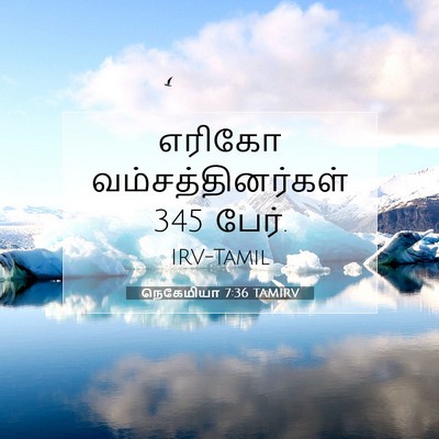 Picture 07 - நெகேமியா 7:36 TAMIRV - எரிகோ - Bible Verse Picture