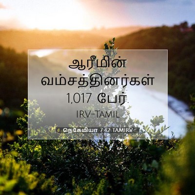 Picture 07 - நெகேமியா 7:42 TAMIRV - ஆரீமின் - Bible Verse Picture