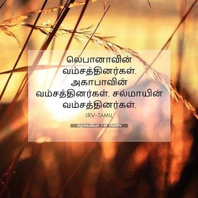 Picture 07 - நெகேமியா 7:48 TAMIRV - லெபானாவின் - Bible Verse Picture