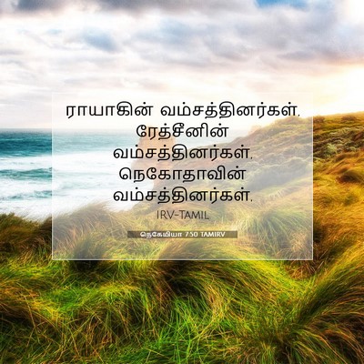 Picture 07 - நெகேமியா 7:50 TAMIRV - ராயாகின் - Bible Verse Picture