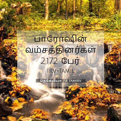 Picture 07 - நெகேமியா 7:8 TAMIRV - பாரோஷின் - Bible Verse Picture
