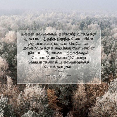 Picture 07 - நெகேமியா 8:1 TAMIRV - மக்கள் எல்லோரும் - Bible Verse Picture