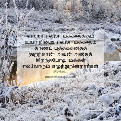 Picture 07 - நெகேமியா 8:5 TAMIRV - எஸ்றா எல்லா - Bible Verse Picture