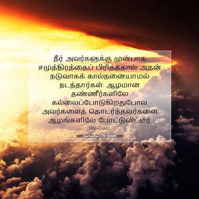 Picture 07 - நெகேமியா 9:11 TAMIRV - நீர் அவர்களுக்கு - Bible Verse Picture