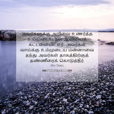 Picture 07 - நெகேமியா 9:20 TAMIRV - அவர்களுக்கு அறிவை - Bible Verse Picture
