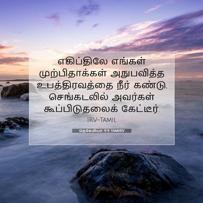 Picture 07 - நெகேமியா 9:9 TAMIRV - எகிப்திலே எங்கள் - Bible Verse Picture