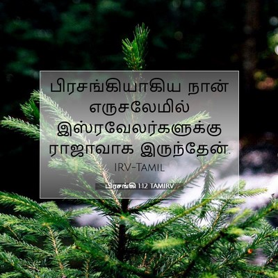 Picture 07 - பிரசங்கி 1:12 TAMIRV - பிரசங்கியாகிய - Bible Verse Picture