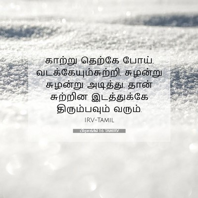 Picture 07 - பிரசங்கி 1:6 TAMIRV - காற்று தெற்கே - Bible Verse Picture