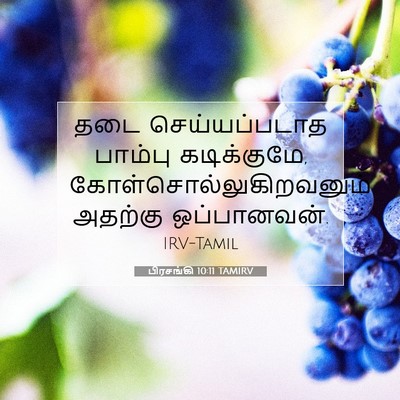 Picture 07 - பிரசங்கி 10:11 TAMIRV - தடை செய்யப்படாத - Bible Verse Picture