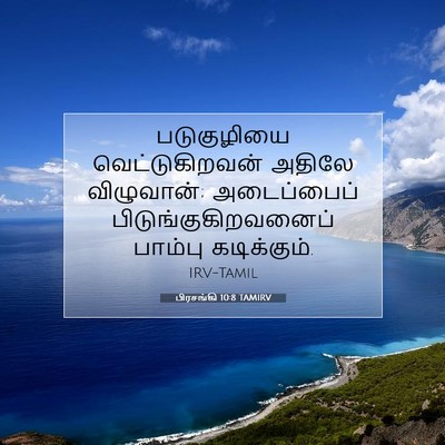 Picture 07 - பிரசங்கி 10:8 TAMIRV - படுகுழியை - Bible Verse Picture