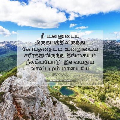 Picture 07 - பிரசங்கி 11:10 TAMIRV - நீ உன்னுடைய - Bible Verse Picture