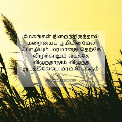 Picture 07 - பிரசங்கி 11:3 TAMIRV - மேகங்கள் - Bible Verse Picture