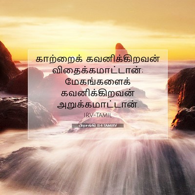 Picture 07 - பிரசங்கி 11:4 TAMIRV - காற்றைக் - Bible Verse Picture