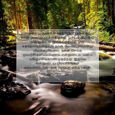 Picture 07 - பிரசங்கி 2:10 TAMIRV - என்னுடைய கண்கள் - Bible Verse Picture