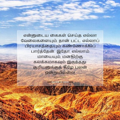 Picture 07 - பிரசங்கி 2:11 TAMIRV - என்னுடைய கைகள் - Bible Verse Picture