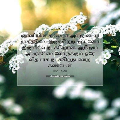 Picture 07 - பிரசங்கி 2:14 TAMIRV - ஞானியின் கண்கள் - Bible Verse Picture
