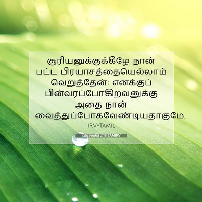 Picture 07 - பிரசங்கி 2:18 TAMIRV -  - Bible Verse Picture