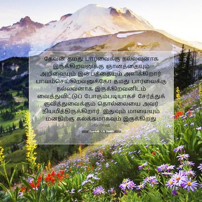Picture 07 - பிரசங்கி 2:26 TAMIRV - தேவன் தமது - Bible Verse Picture