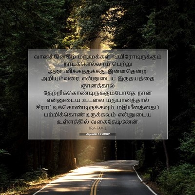 Picture 07 - பிரசங்கி 2:3 TAMIRV - வானத்தின்கீழ் - Bible Verse Picture