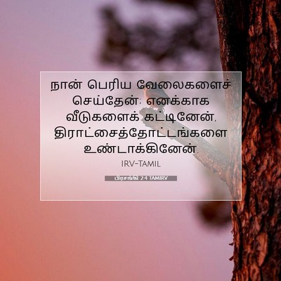 Picture 07 - பிரசங்கி 2:4 TAMIRV - நான் பெரிய - Bible Verse Picture