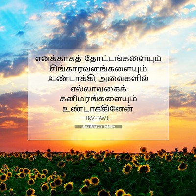 Picture 07 - பிரசங்கி 2:5 TAMIRV - எனக்காகத் - Bible Verse Picture