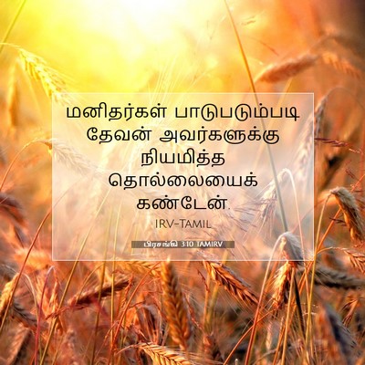 Picture 07 - பிரசங்கி 3:10 TAMIRV - மனிதர்கள் - Bible Verse Picture