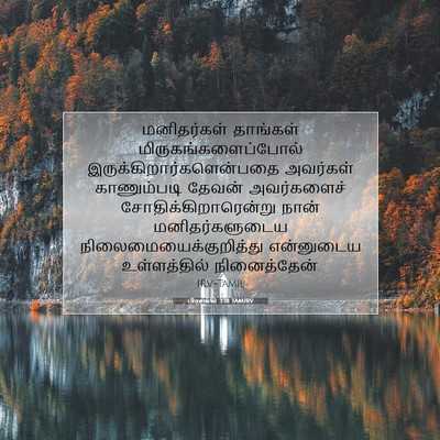 Picture 07 - பிரசங்கி 3:18 TAMIRV - மனிதர்கள் தாங்கள் - Bible Verse Picture