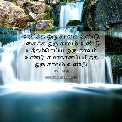 Picture 07 - பிரசங்கி 3:8 TAMIRV - நேசிக்க ஒரு காலம் - Bible Verse Picture