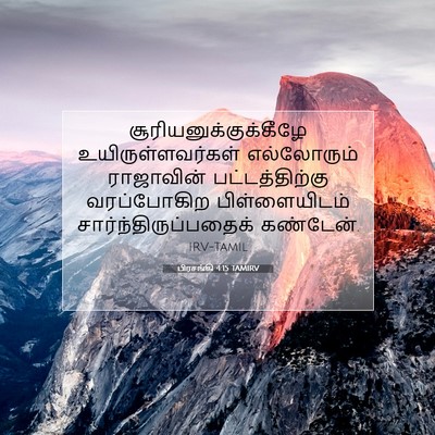 Picture 07 - பிரசங்கி 4:15 TAMIRV -  - Bible Verse Picture
