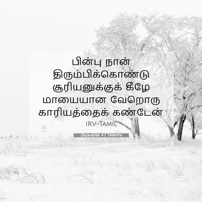 Picture 07 - பிரசங்கி 4:7 TAMIRV - பின்பு நான் - Bible Verse Picture