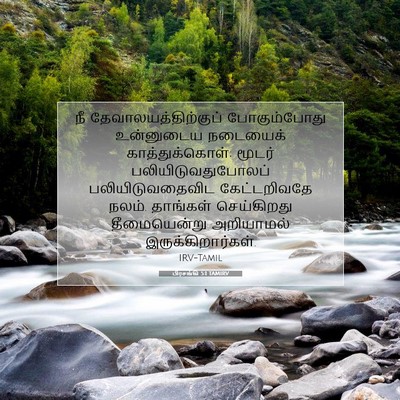 Picture 07 - பிரசங்கி 5:1 TAMIRV - நீ - Bible Verse Picture