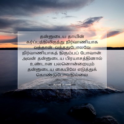 Picture 07 - பிரசங்கி 5:15 TAMIRV - தன்னுடைய தாயின் - Bible Verse Picture