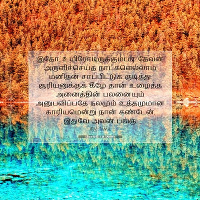 Picture 07 - பிரசங்கி 5:18 TAMIRV - இதோ, - Bible Verse Picture