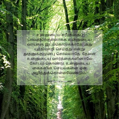 Picture 07 - பிரசங்கி 5:6 TAMIRV - உன்னுடைய - Bible Verse Picture