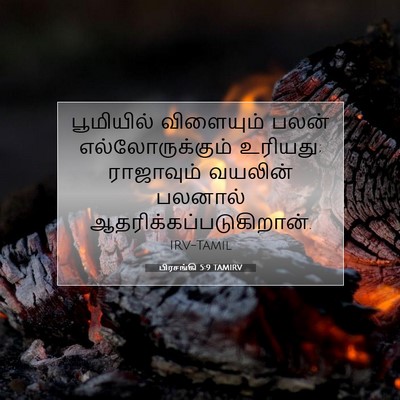 Picture 07 - பிரசங்கி 5:9 TAMIRV - பூமியில் விளையும் - Bible Verse Picture