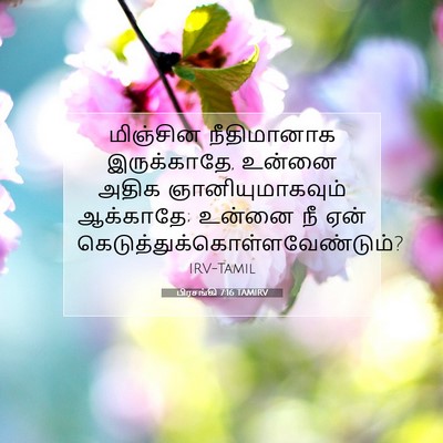 Picture 07 - பிரசங்கி 7:16 TAMIRV - மிஞ்சின நீதிமானாக - Bible Verse Picture