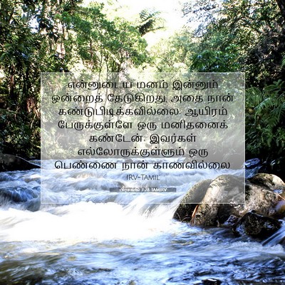 Picture 07 - பிரசங்கி 7:28 TAMIRV - என்னுடைய மனம் - Bible Verse Picture