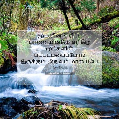 Picture 07 - பிரசங்கி 7:6 TAMIRV - மூடனின் சிரிப்பு - Bible Verse Picture