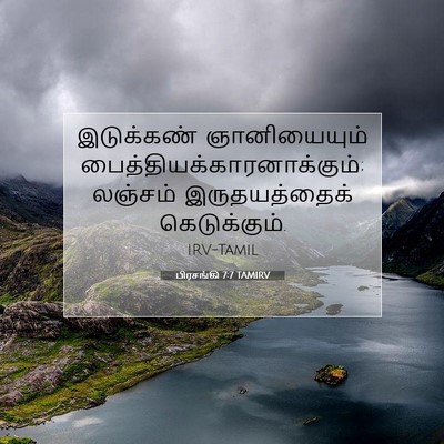 Picture 07 - பிரசங்கி 7:7 TAMIRV - இடுக்கண் - Bible Verse Picture