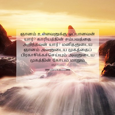 Picture 07 - பிரசங்கி 8:1 TAMIRV - ஞானம் உள்ளவனுக்கு - Bible Verse Picture