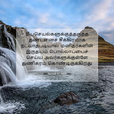 Picture 07 - பிரசங்கி 8:11 TAMIRV -  - Bible Verse Picture