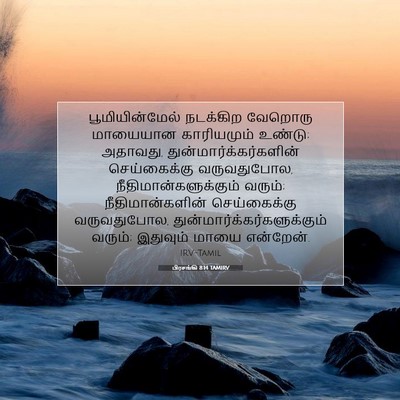 Picture 07 - பிரசங்கி 8:14 TAMIRV - பூமியின்மேல் - Bible Verse Picture