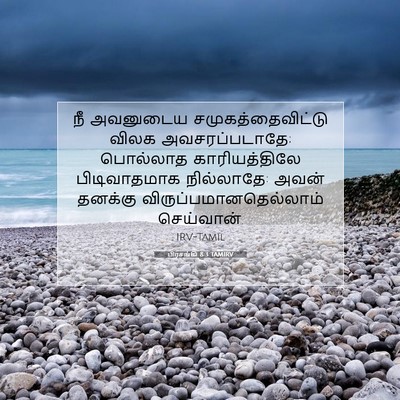 Picture 07 - பிரசங்கி 8:3 TAMIRV - நீ அவனுடைய - Bible Verse Picture