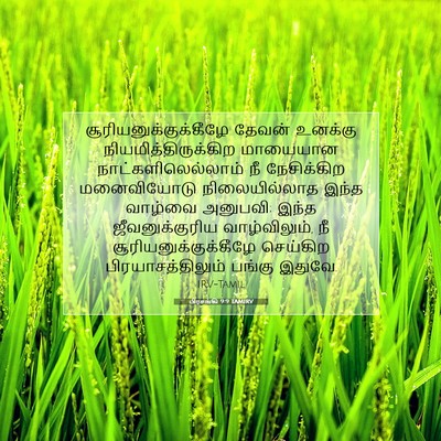 Picture 07 - பிரசங்கி 9:9 TAMIRV -  - Bible Verse Picture