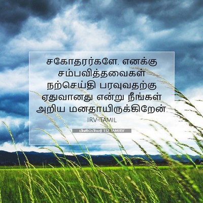 Picture 07 - பிலிப்பியர் 1:12 TAMIRV - சகோதரர்களே, - Bible Verse Picture
