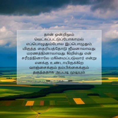 Picture 07 - பிலிப்பியர் 1:20 TAMIRV - நான் ஒன்றிலும் - Bible Verse Picture