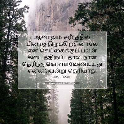 Picture 07 - பிலிப்பியர் 1:22 TAMIRV - ஆனாலும் - Bible Verse Picture