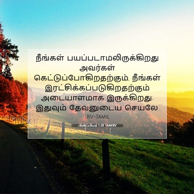 Picture 07 - பிலிப்பியர் 1:28 TAMIRV - நீங்கள் - Bible Verse Picture