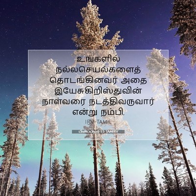 Picture 07 - பிலிப்பியர் 1:5 TAMIRV - உங்களில் - Bible Verse Picture